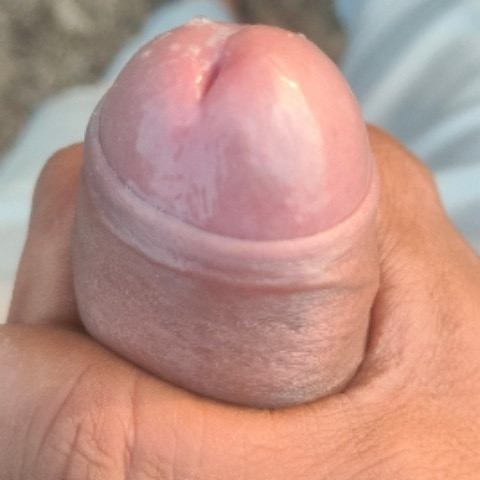 Desisex997