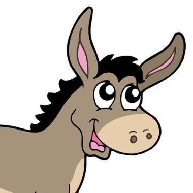 donkey_ati