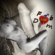 FAB_love_DOM