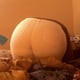 ebonycurves01