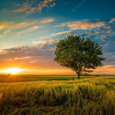 Shuvo7_8