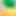 OliveLength4