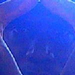 nyzonixs