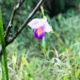 khairul-rul