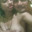Anal_Oral_Lover727