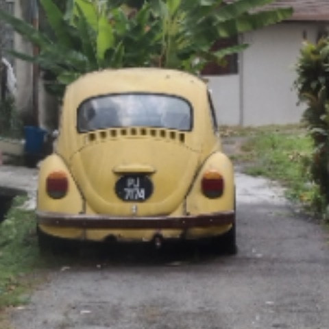 mizi729