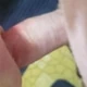 SSBBW-LAND