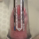 Stubbles2425