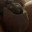 Blackboy4whitecock