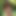 Kristin_Swift_69