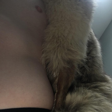 furlovers666