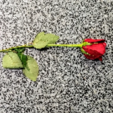 blackrose1004