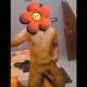 Lucknowdomboy