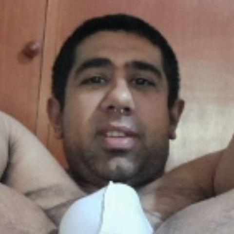 fednff88