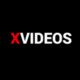 Videx6