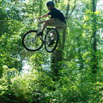 rexman2004