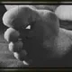 AlphaFootMaster