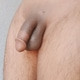 LaconicBarrier5