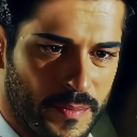 shahbuddi4