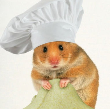 chefhamster1001