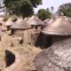 Tribal-village