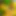 joroke_IV