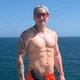 Theirish_bull