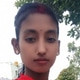 Rajib590