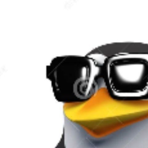 PervyMcPenguin