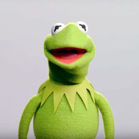 kermit20041