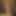 MrFatCock