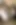 Whitebbw4BBC