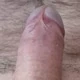brummelbaer46