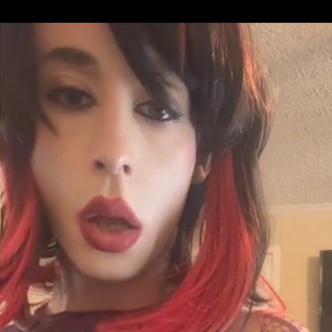 aliSantraEliseXenos
