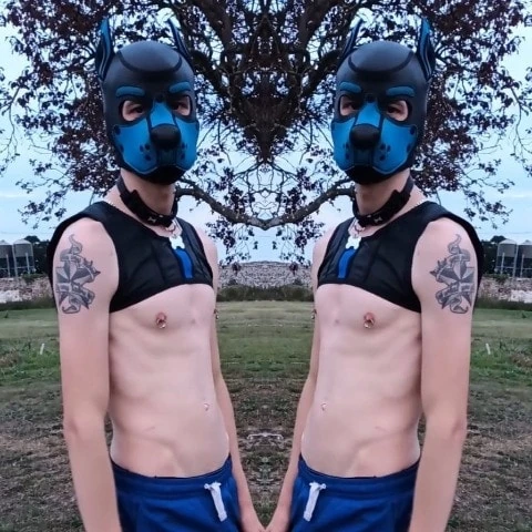 Bolt_pup1998