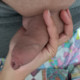 AssFromBrazil