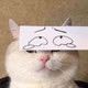 Thirdeyeguy38