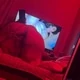 MrHamster18
