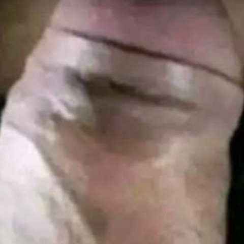 VibrantLimb7