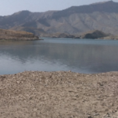 hojjatsali