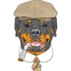 Rottweiler_