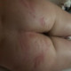 Alexdiary
