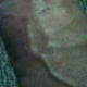 theviper503