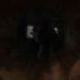 _Dark_