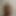 Scooby_Secret0429
