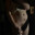 Bella_Wotton