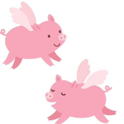 Flying-pig-pigs