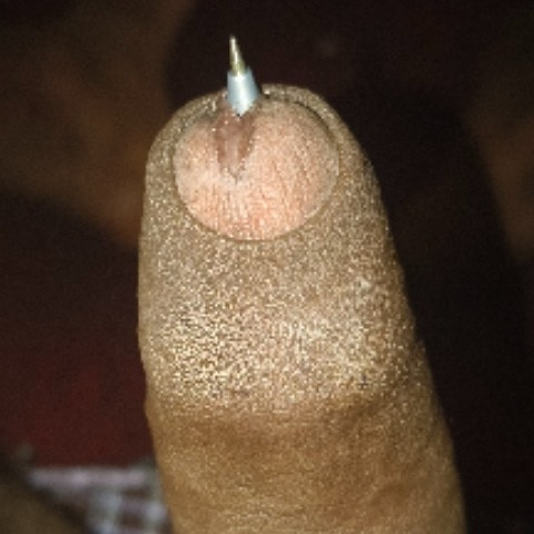 kamalw731