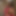 Roshni_Thakkar