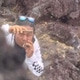 AdiAja047